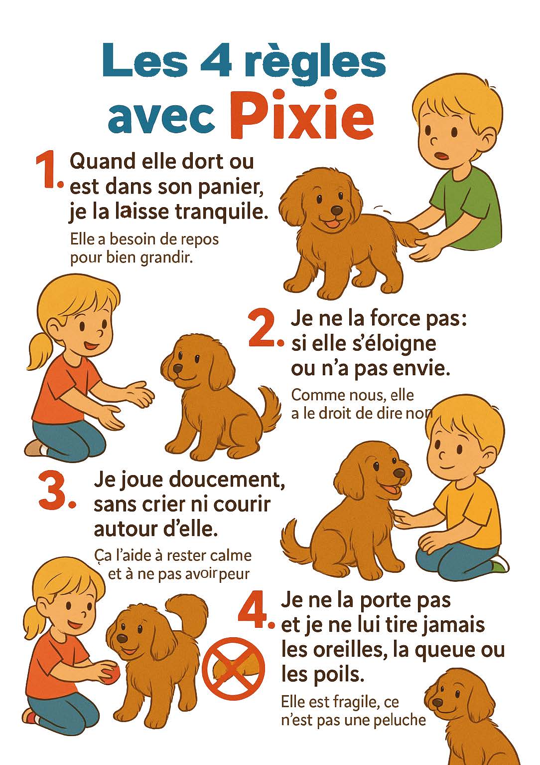 Les 4 règles Pixie Accueil chiot, les règles pour les enfants