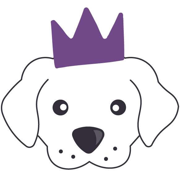 Pixie Woof : Conseils et vie quotidienne avec un Doodle