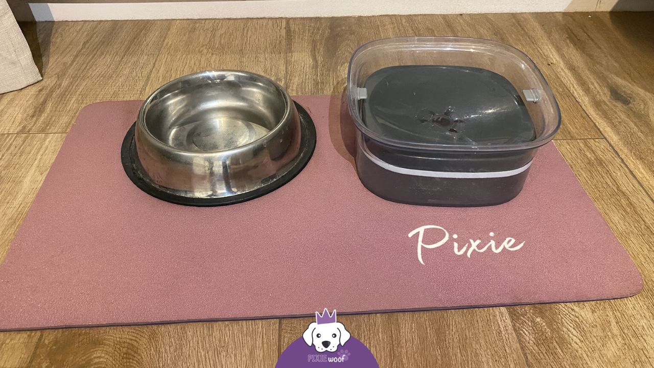 meilleure gamelle anti-eclaboussure pour chien