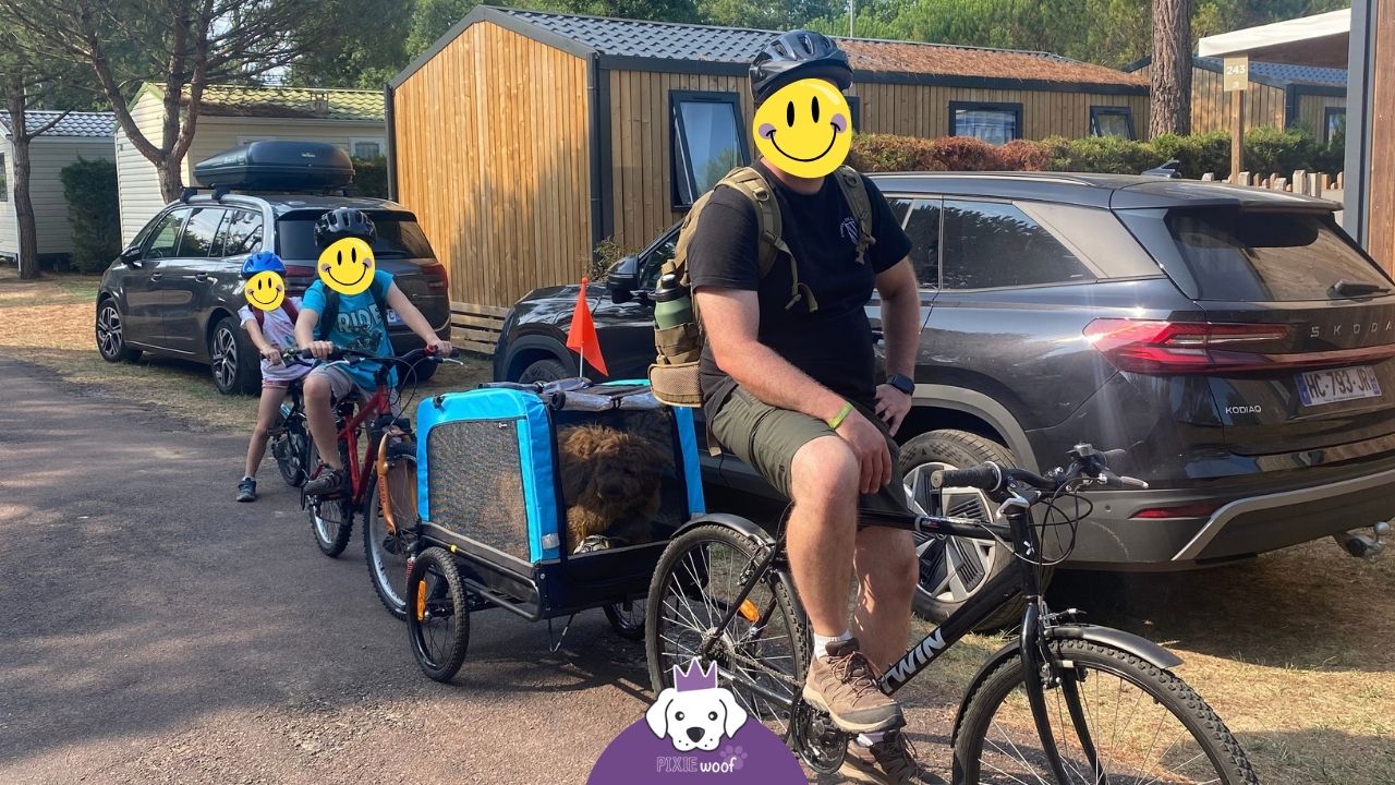 remorque-velo-chien-pliable remorque vélo pour chien faible encombrement